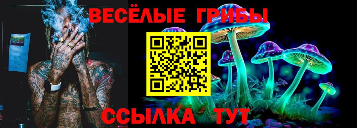 Галлюциногенные грибы MAGIC MUSHROOMS  Вход с VPN  Кимовск 
