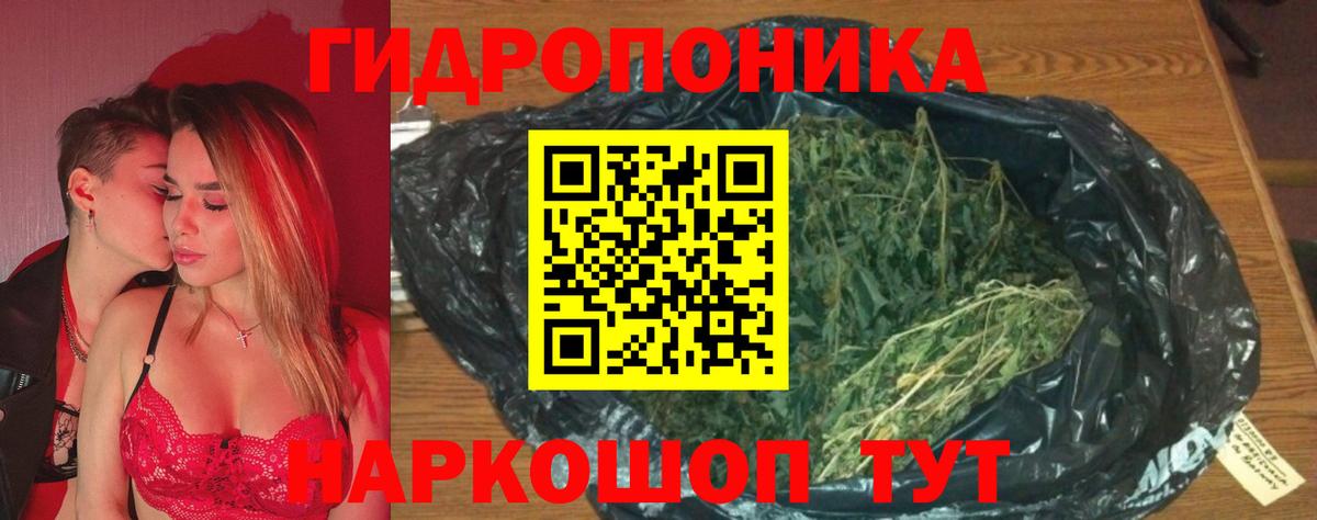 Кимовск  Бошки Шишки планчик  Вход с VPN  Каннабис SATIVA & INDICA  Марихуана VHQ 